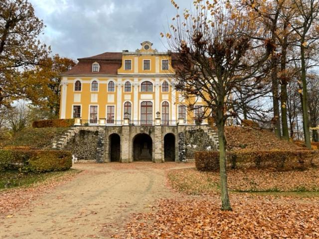 Pension Grandel Kottmar Экстерьер фото